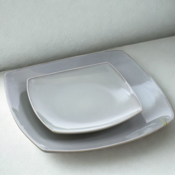 Assiettes Rectangulaires Verts