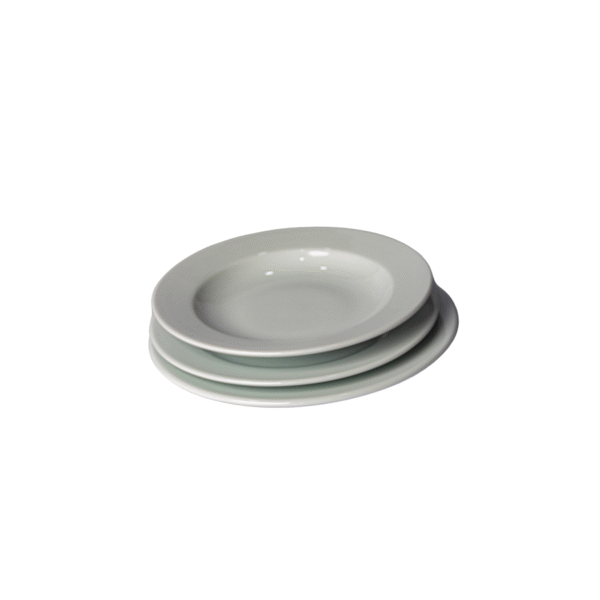 Assiette plate ronde en porcelaine
