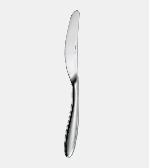 Couteau de table en acier inoxydable